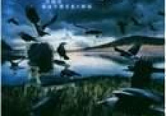 Jorn - The Gathering