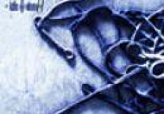 Mad Doggin' - Isle Of View Review