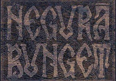 Negurã Bunget & Schwarzenberg - Hamburg / Markthalle (Marxx) Review