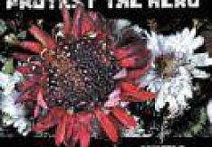 Protest The Hero - Kezia Review
