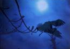 Raging Speedhorn - Before The Sea Was Built Review