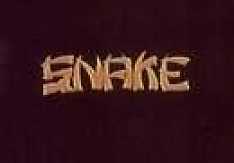 Snake - Strike!