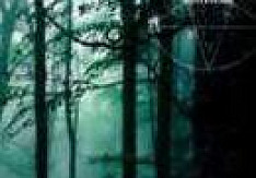 Svartskogg - Helvete 666 Review