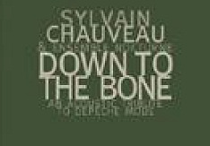 Sylvain Chauveau & Ensemble Nocturne - Down To The Bone (An Acoustic Tribute To Depeche Mode) Review