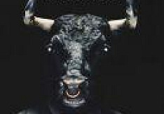 Tamoto - Clemenza Review