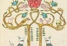 The Sound Of Animals Fighting - Tiger & The Duke (Re-Release)