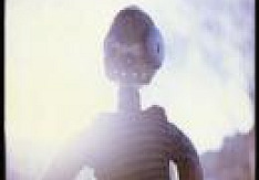 The Zico Chain - s/t (EP) Review