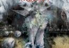 Tribuzy - Execution Review