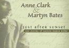 Anne Clark & Martyn Bates - Just After Sunset Review