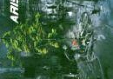 Arise - The Beautiful New World Review