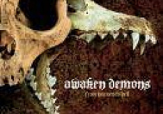 Awaken Demons - From Heaven To Hell