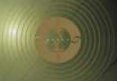 Burst - Prey on Life Review