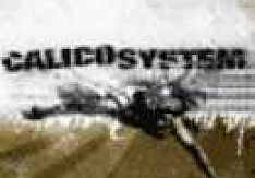 Calico System - The Duplicated Memory Review