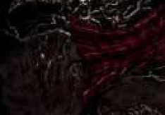 Chthonic - Seediq Bale Review