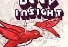 Deep Insight - Red Lights, White Lights