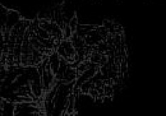 Devils Whorehouse - Werewolf