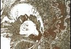 Digression Assassins - Omega