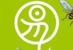 Dredg - Catch Without Arms