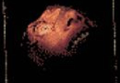 Exhumed - Anatomy Is Destiny Review