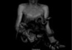 Insense - The Silent Epidemic Review