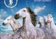 Institute - Distort Yourself Review