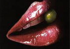 Maida Vale - Prefab Bliss