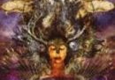 Protest The Hero - Fortress