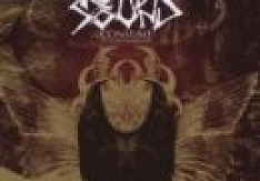 Rotten Sound - Consume To Contaminate Review
