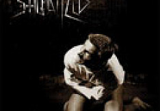 Stigmatized - Live In Despair Review