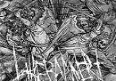 The Banner - Frailty