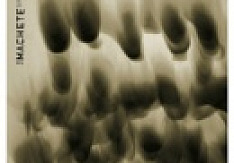 The Machete - Untrue