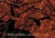 This Is Hell - Misfortunes